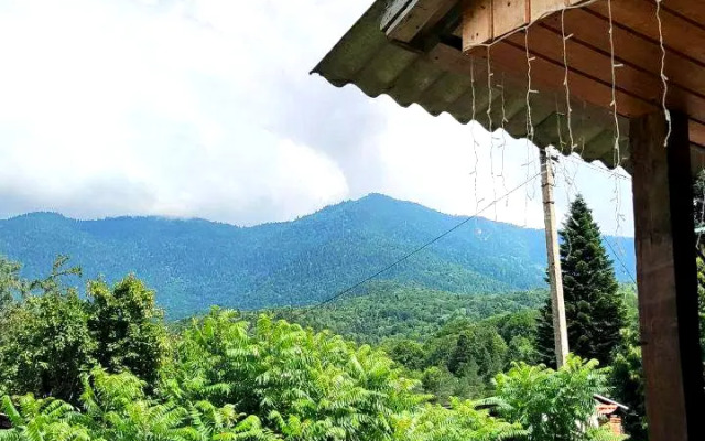 Гостевой дом Удачный, Гузерипль