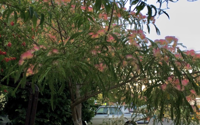 Гостевой Дом Татьяна