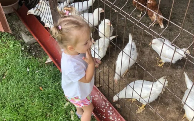 Частный Дом на 7 Человек Kлёвое Место