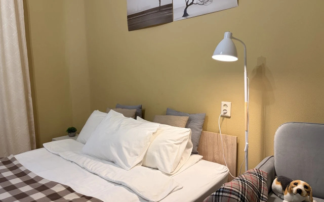 Квартира A. Nevsky Apartment у Невы