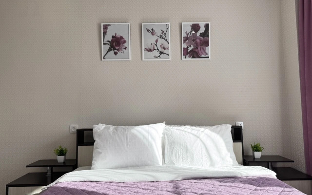 Razmestim Na Ulitse Universitetskaya Naberezhnaya 105 Flat