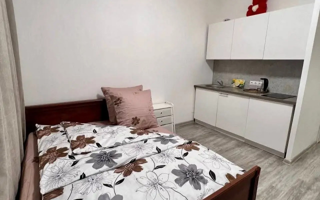 Апартаменты на Московской