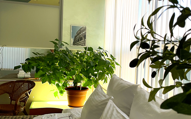 Апартаменты Тематические Апартаменты Paris Italy Oxford USSR London Copenhagen