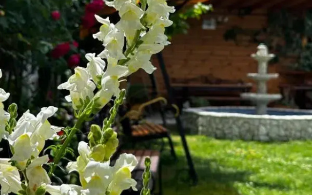 Hotel Kavo-de-Bukso