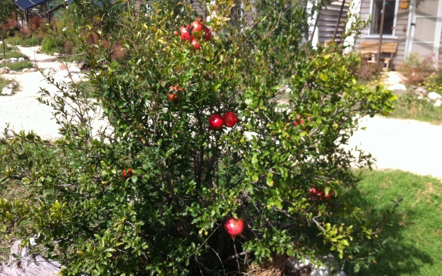 База Отдыха Эко Курорт Морское