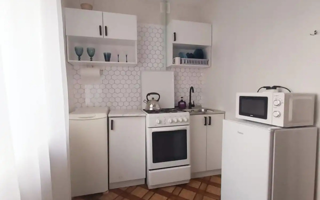 V Istoricheskom Tsentre Samary Flat