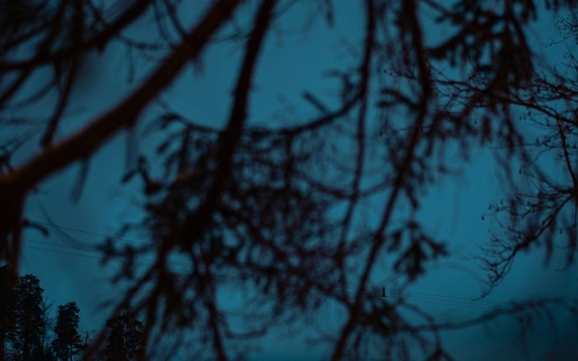 Глэмпинг Террасы