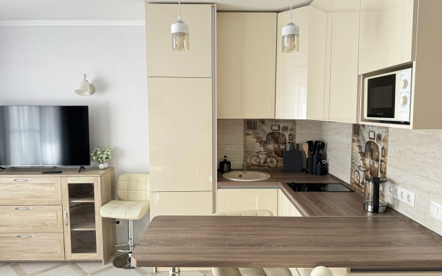 Квартира Студия в Песочном Садовая 90