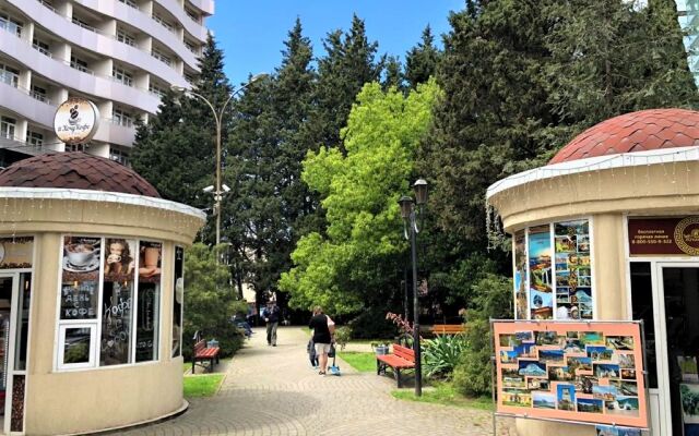 Zhemchuzhina Chernogo Morya Apartments