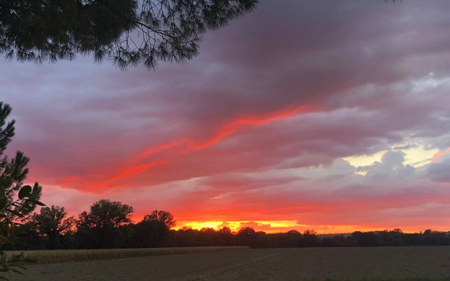 Country House Le Case Coloniche