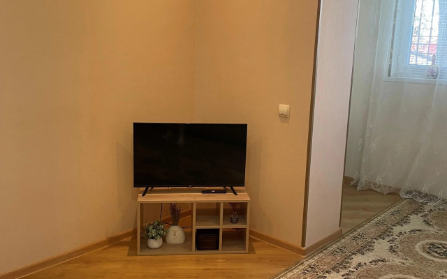 Uyutnaya Kvartira S Dzhakuzi Apartments