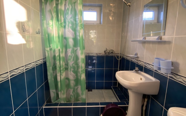 Guest house Semeyny