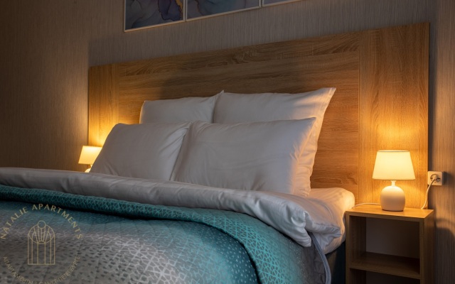 Апартаменты Студия Natalie Apartments Пулковское шоссе 14с6