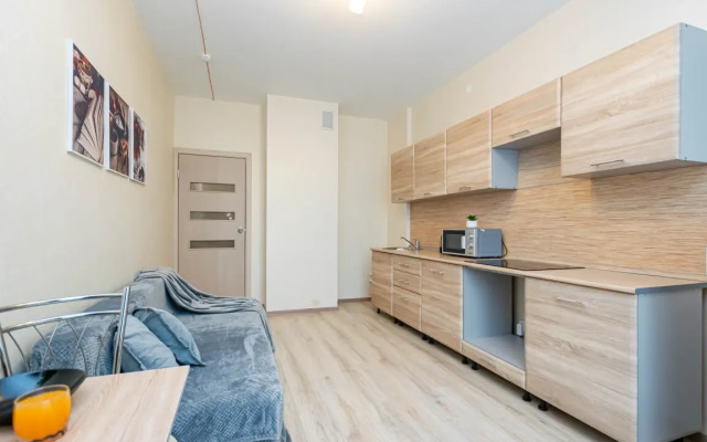 Apartments Cosmos Apart Na Revolyutsii 48a (2)