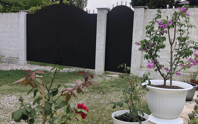 Guest house Gudauta