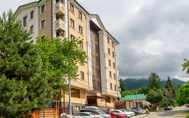 S Vidom Na Gory Apartments