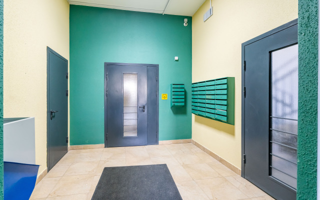 Квартира в Песочном НИИ Петрова