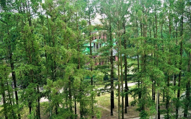 Квартира в Горелово #1