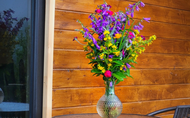 Svaniericottage Private house