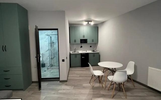 Maximus apartments in Mestia