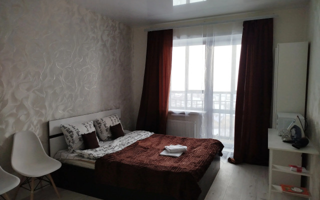 1 Aeroport Tolmachevo Apartments