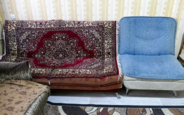 Квартира на улице 50 лет ВЛКСМ 45 - фото 4