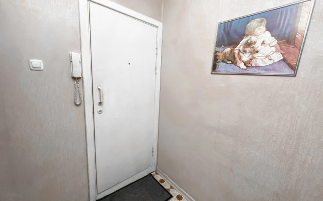 Апартаменты в Центре Засвияжского Района 11