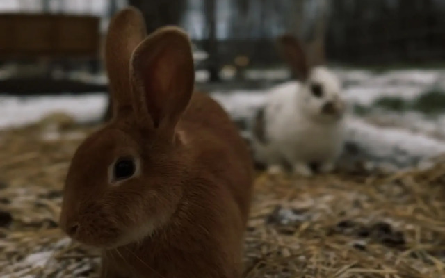 База отдыха Загородный Клуб Гармония