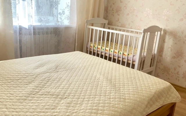 V Tsentre Goroda Flat