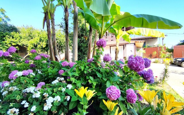 Tsitrus Guest house