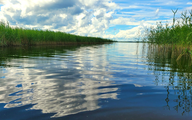Частный дом в деревне Сосно 104
