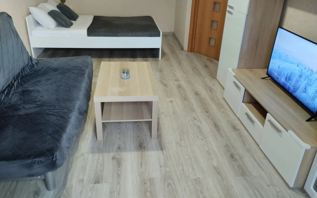 Квартира с Видом на Стадион