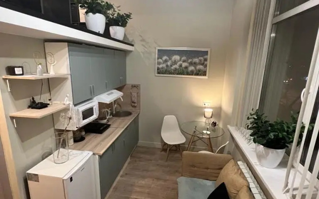 Апартаменты уютные вблизи ВДНХ