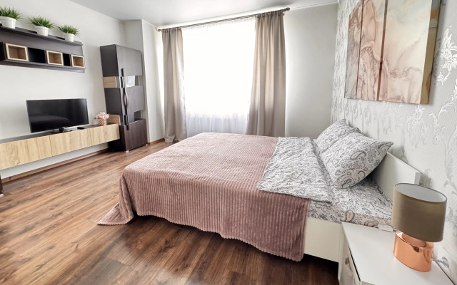 V Samom Tsentre Istoricheskogo Rayona Amalienau Flat