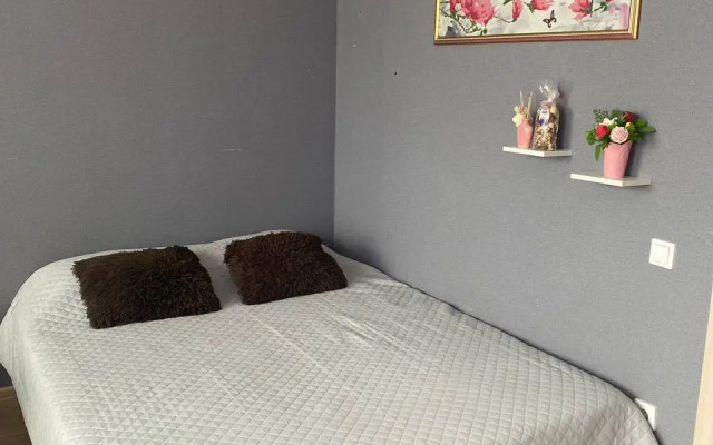 Studiya v tsentre goroda Flat