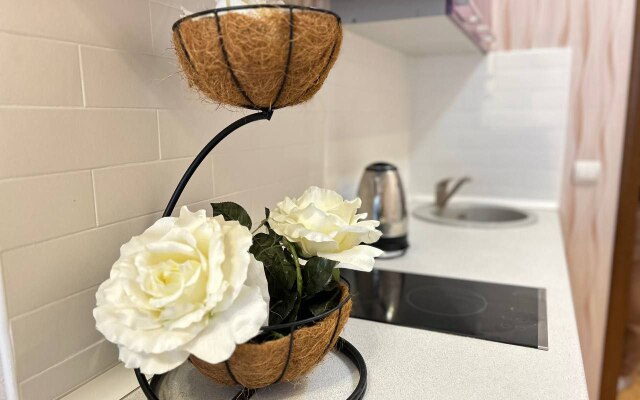 Апартаменты Smile Apartments Студия в Районе Левенцовка