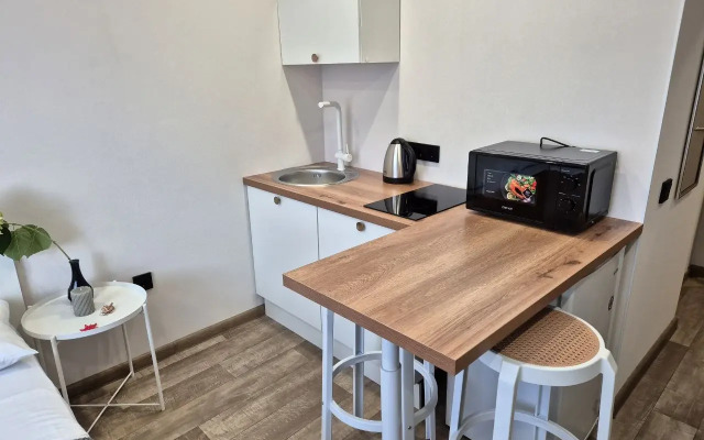 Апартаменты Студия возле парка Белые цветы