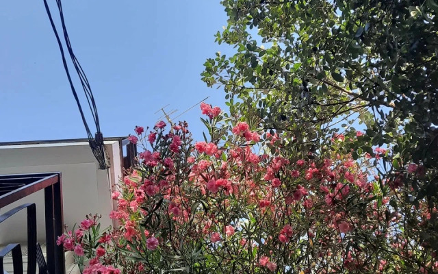 Evkalipt Guest house