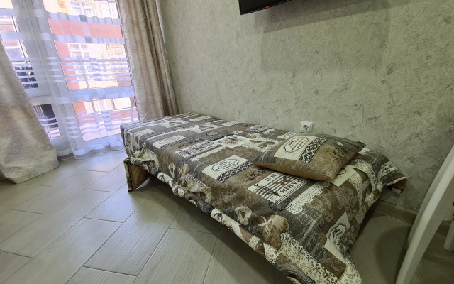Studiya S Balkonchikom V Kurortnom Gorodke Flat