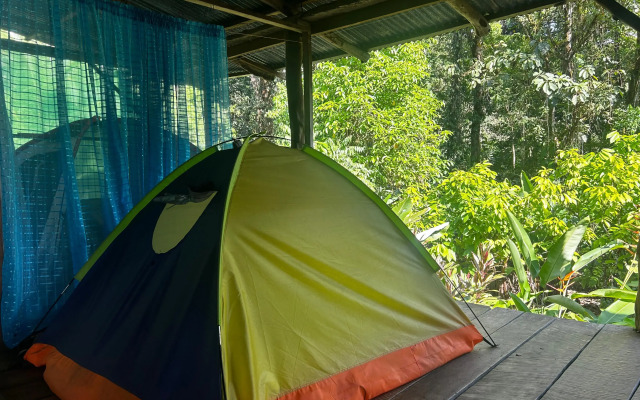 RioAgujitasEcoFarmandTours Hostel