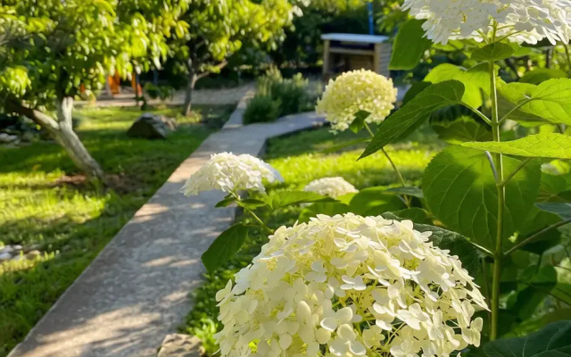 Гостевой Дом Голубая бухта