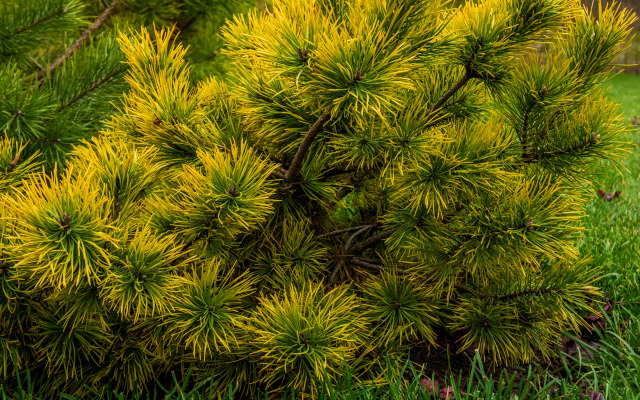 RentalSPb Redlake Красное Озеро