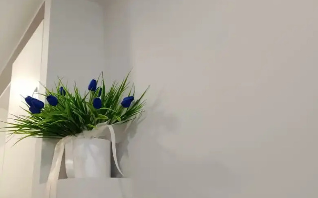 Na GK Kurortnom Flat