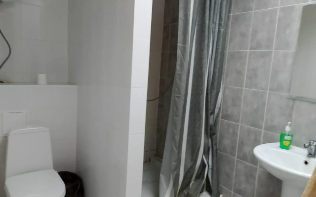 Studiya V Tsentre Flat