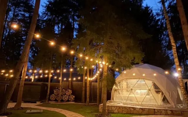 Частный дом Сфера в Лесу