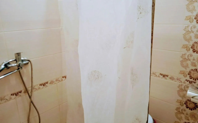 Prostornaya V 300 Metrakh Do Naberezhnoy Flat