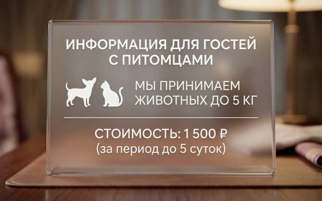 Апартаменты с панорамным видом на город, с большим телевизором (65 дюймов) и Алисой. Встречайте рассветы!