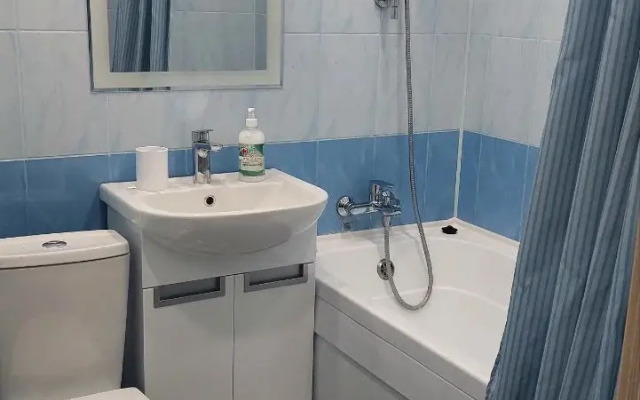 Odnokomnatnye s vidom na Chistyj prud Apartments