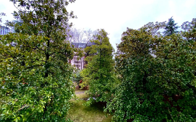Uyutnaya studiya vozle morya Apartments