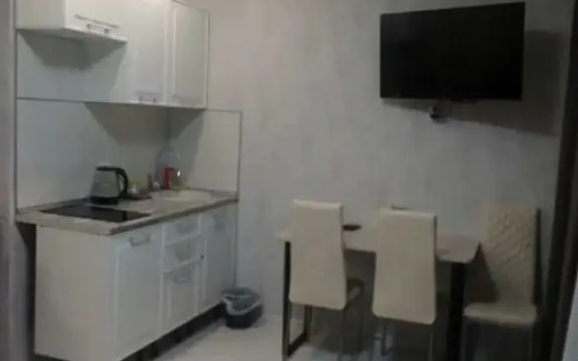 Studio na ulice Raketnaya 17 Apartments